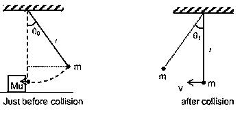 Question diagram: A simple pendulum, made of a string of length l and a bob of