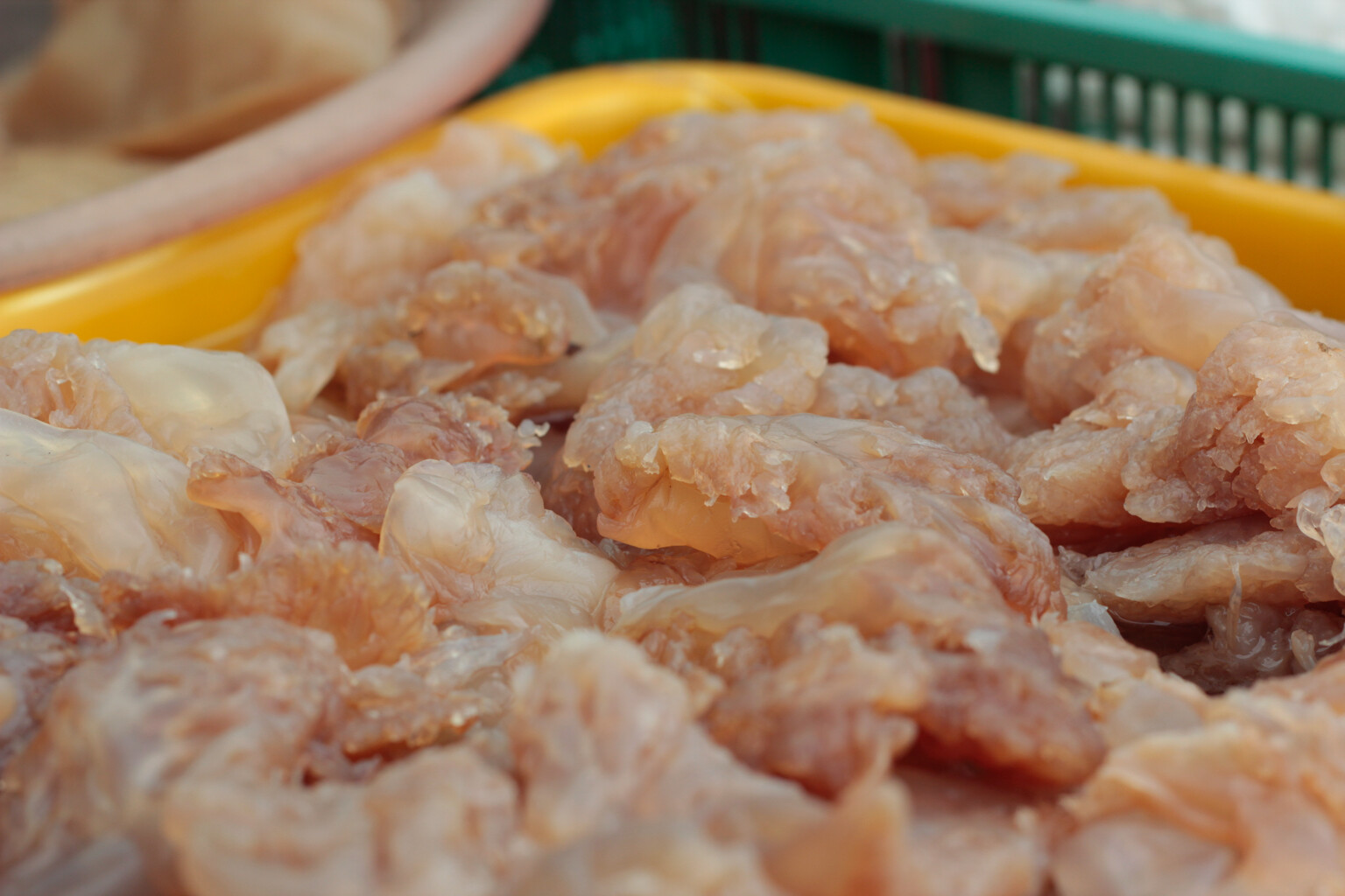 馬祖夏季食材─鮀（海蜇）