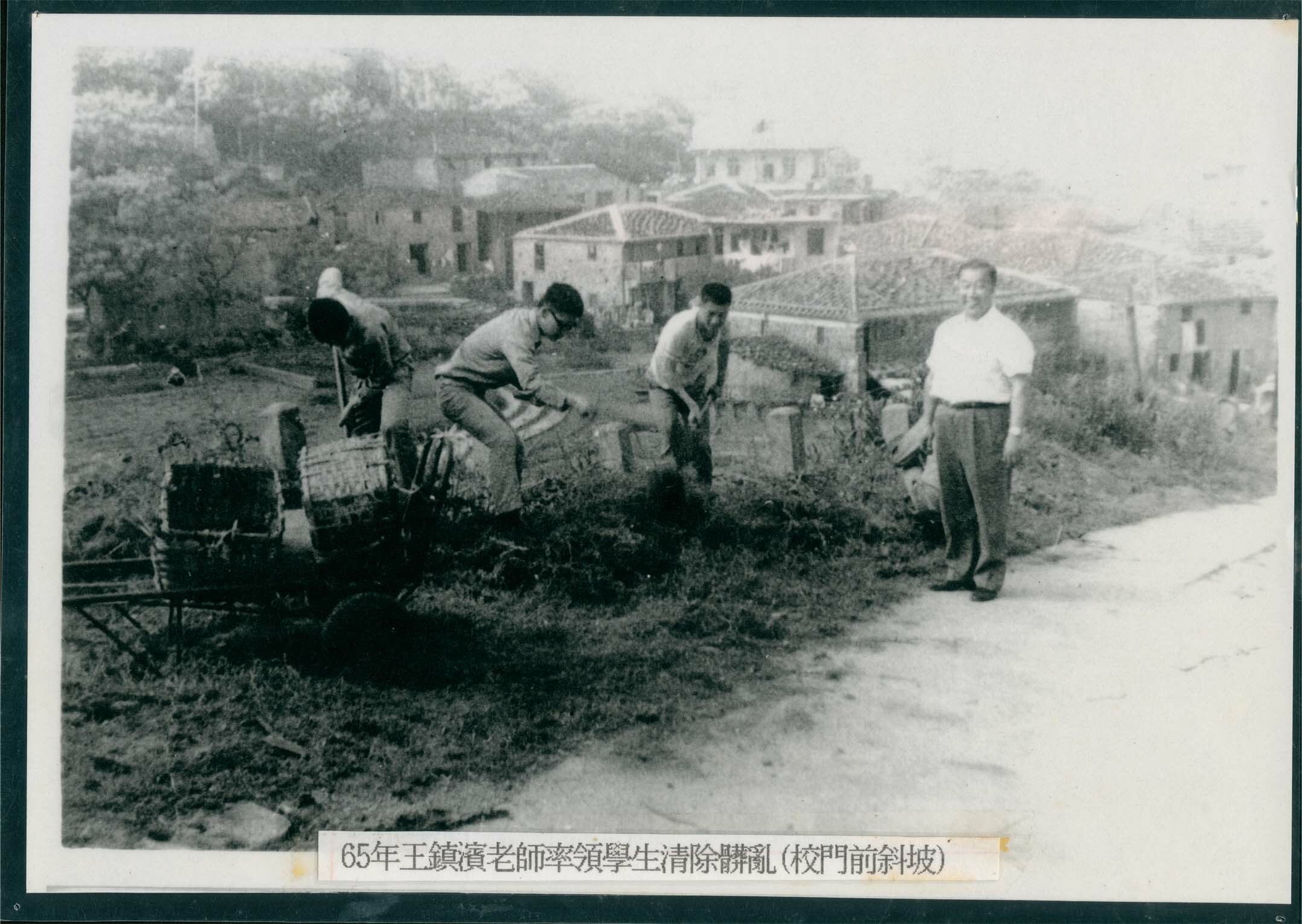 1976年福建省立馬祖高級中學王鎮濱老師帶領學生整理校門環境