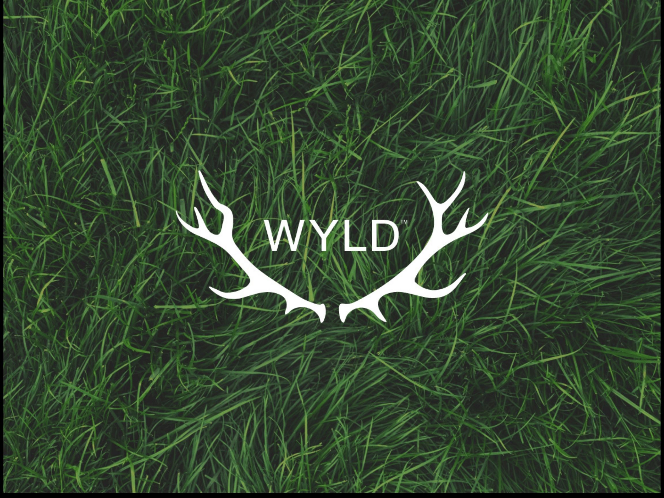 2/$26 - Wyld Gummies