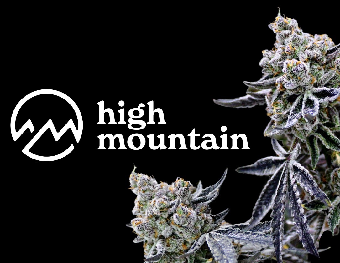 Treasure Chest 35% Discount