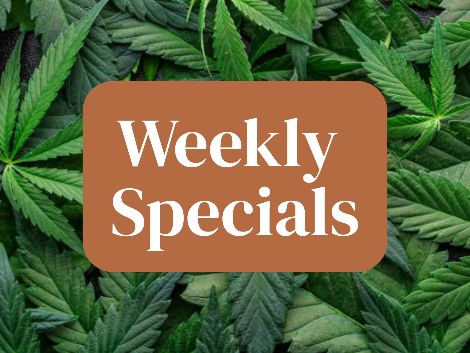 15%Off Select Items 9/11-9/17