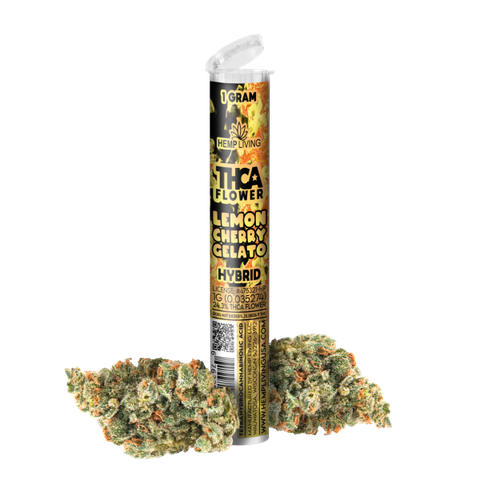 Lemon Cherry Gelato - Hybrid (1g Preroll) - Regular