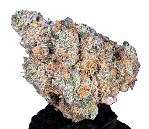 FLOWER | STRAWBERRY FRITTER | HYRBID | 1 GRAM