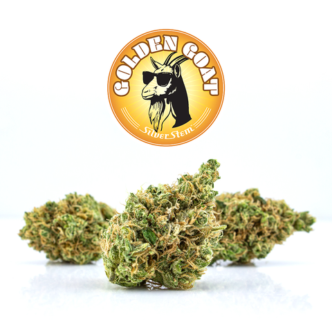 Golden Goat | Sativa - | Eighth