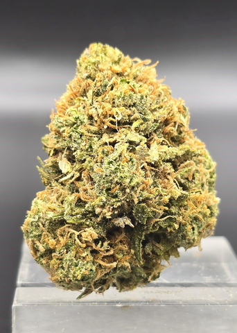 GRANT PHARMS - ANTELOPE - BULK GOLD TIER BUD