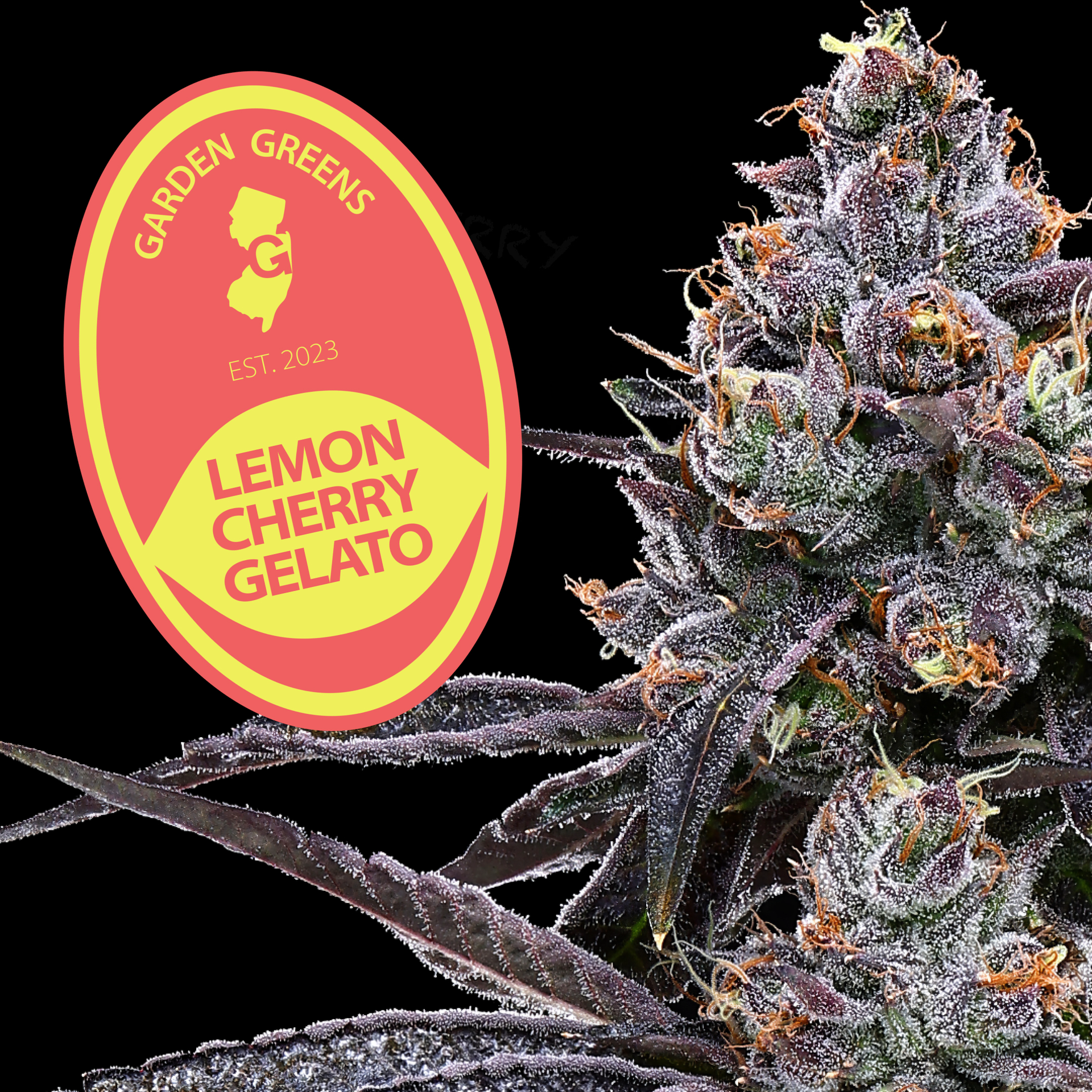 Garden Greens-Lemon Cherry Gelato 0.5g 5 Pack-Preroll