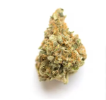 Miracle Alien Cookies (MAC) - Coastal Roots - Flower - 7g