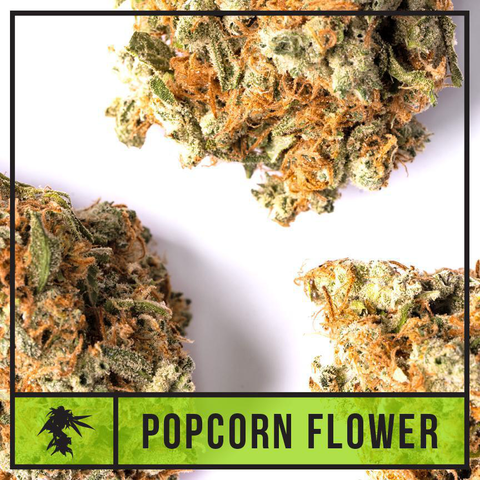 NATTY - RUNTZ - BULK SILVER TIER BUD