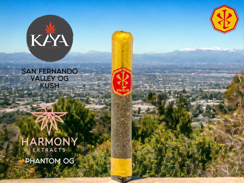 XIAOLIN - 12g RICE GODFATHER - ARTISANAL CANNAGAR