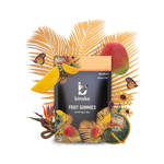 Binske - Mango - Fruit Gummies (100mg)