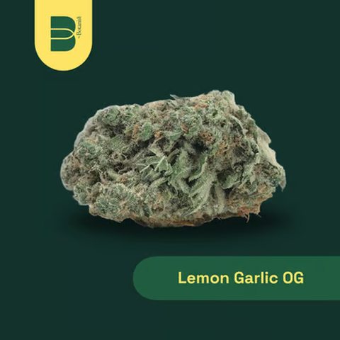 Lemon Garlic OG 3.5g Flower