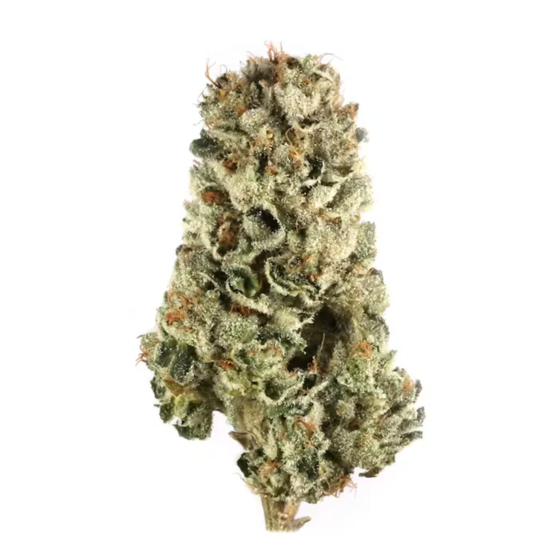 Animas Cannabis, Mac Daddy 3.5G