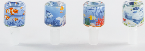 Fish Bowl Style Bowl