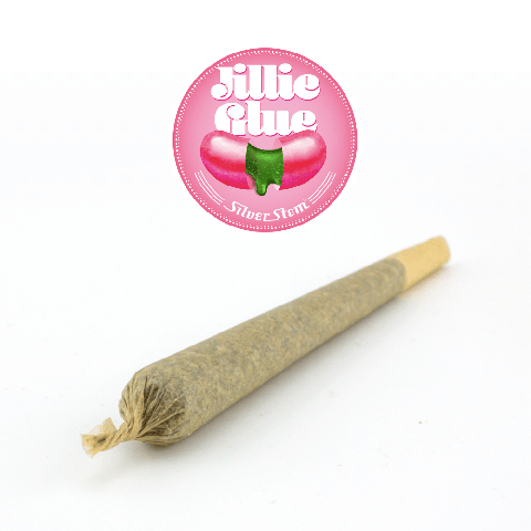 Jilly Glue Preroll | Hybrid - | 1/2g Preroll 5 Pack