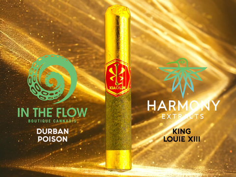 XIAOLIN - 12g NATURAL GODFATHER V.S.X.L. ARTISANAL CANNAGAR