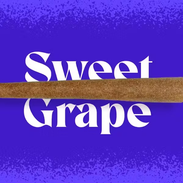 Doinks Infused Blunt | Grape 1g Rec