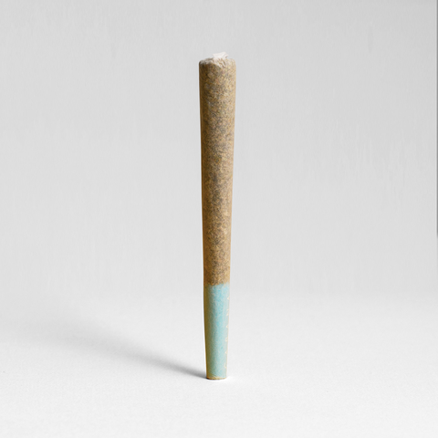 Susie's Closet - Single Pre-Roll
