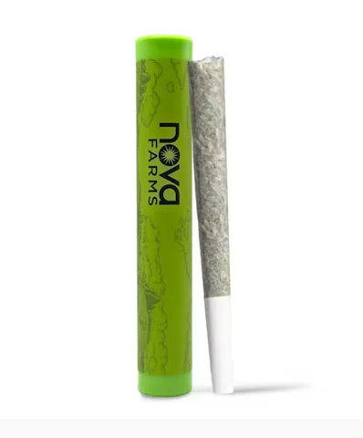 Nova Farms - GMO - 1g Single Cone Joint