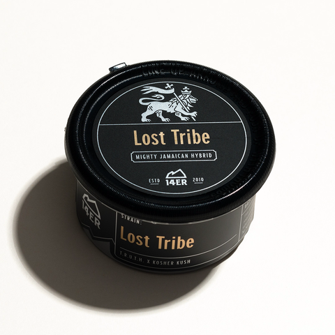 Lost Tribe - 1/8
