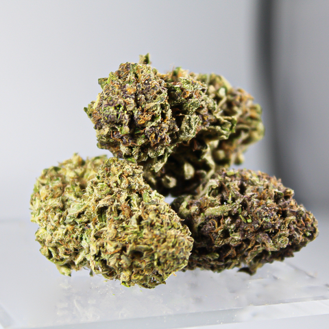 Purple Punch x Tropical Cherry 3.5g