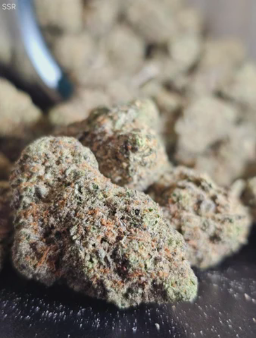 KAYA - KUSH MINTS - BULK PLATIMUN TIER BUD