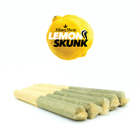 Lemon Skunk 1/2g Preroll 5 Pack | Sativa-Hybrid