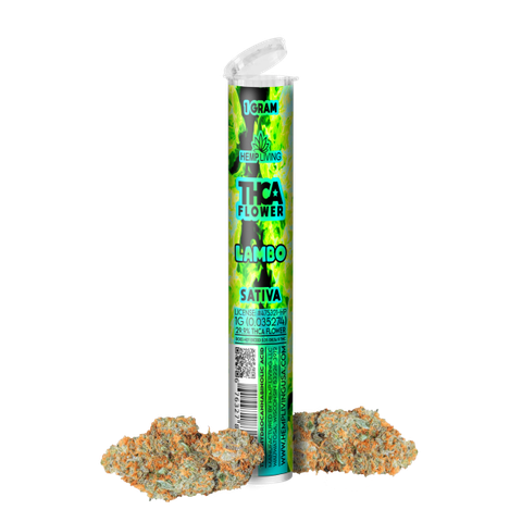 Lambo - Sativa (1g Preroll) - Regular