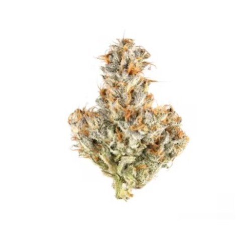 Inzane In The Membrane - Coastal Roots - Flower - 3.5g