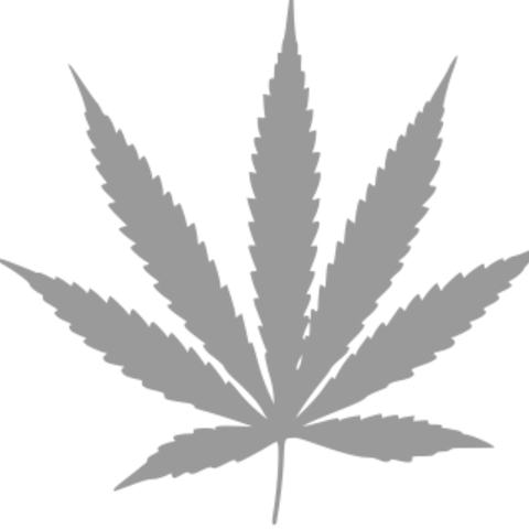 Zig Zag 1-1/4 Ultra Thin Organic Hemp Papers