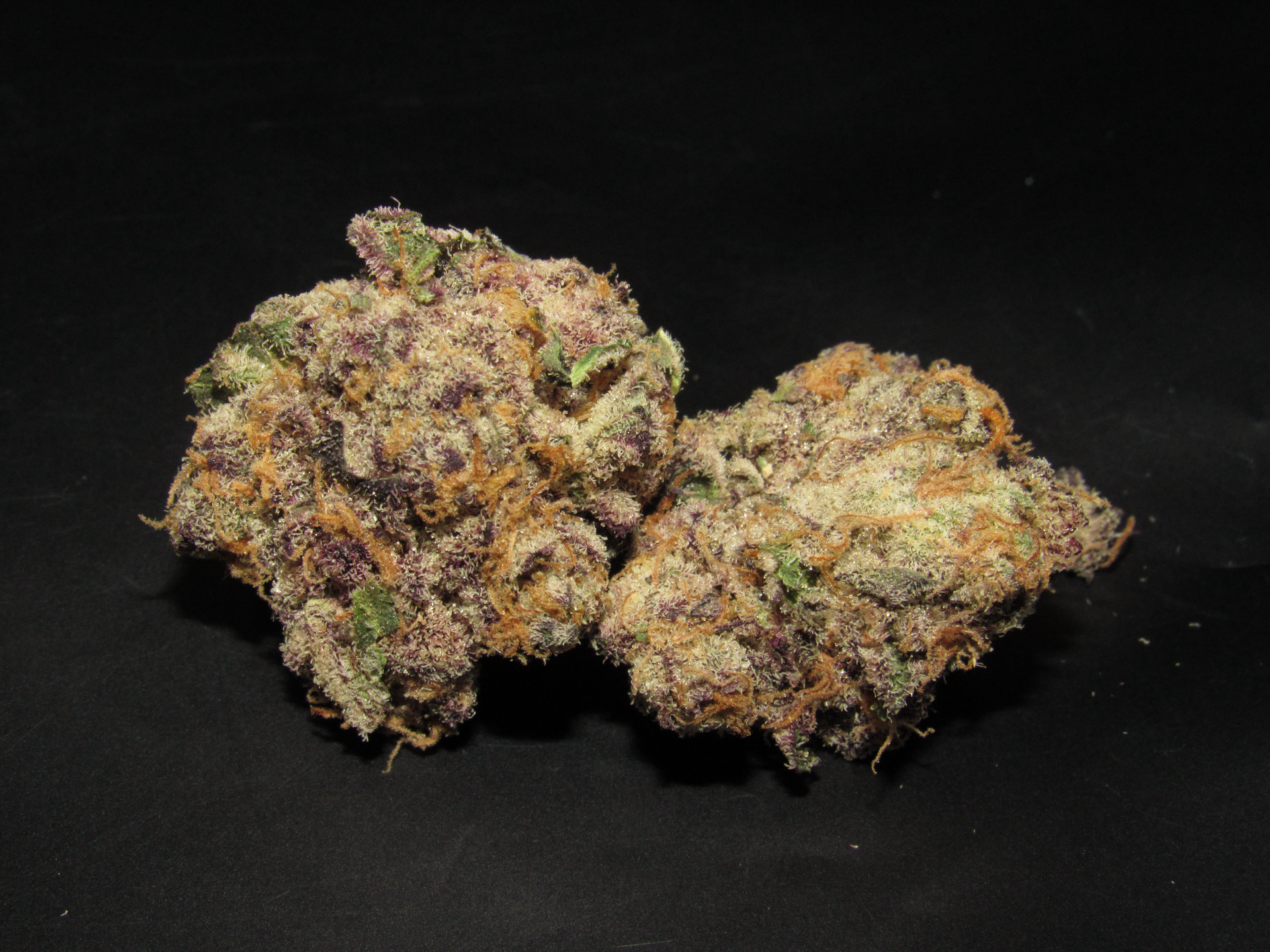 Cream Smoothie. | FAVRD - 3.5g