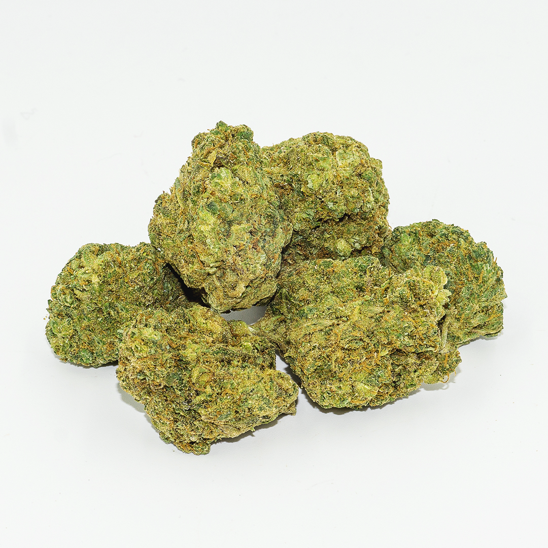 Giza (Med) - Prepack Quarter