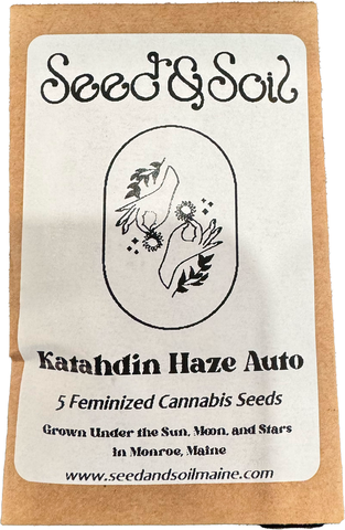 Seed and Soil - Katahdin Haze Auto Feminized Seed - 5 Pack