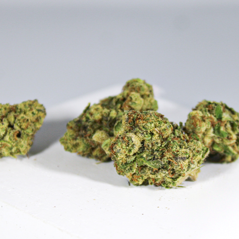 Dirty Bird 3.5g (H)