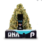 PLUGplay DNA: Northern Lights