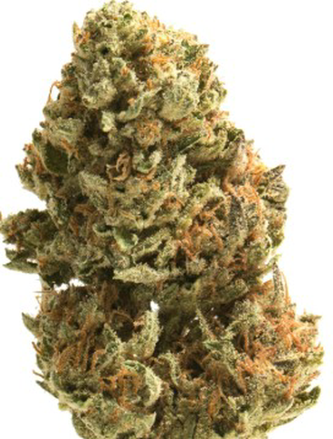 Garlic Breath 7g
