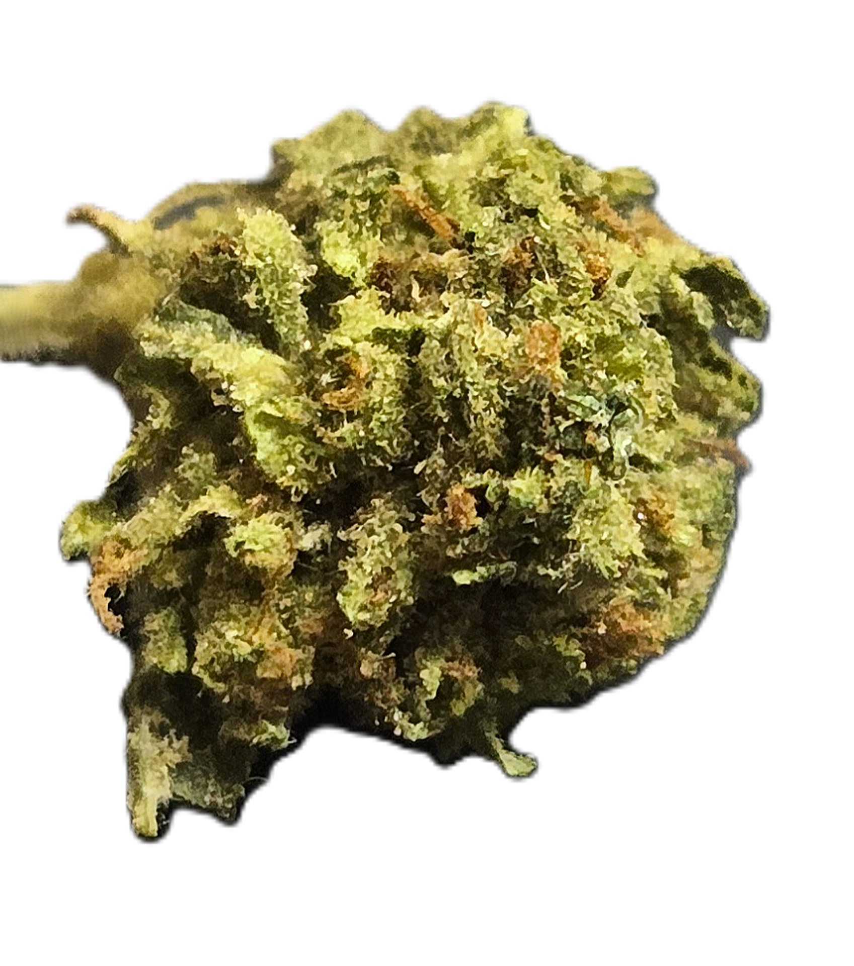 FLOWER | DREAM QUEEN | 28 GRAMS | 1 OZ