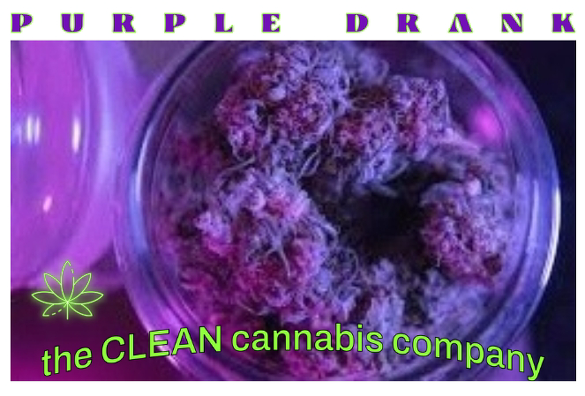 PURPLE DRANK FLOWER 25% CLEAN CANNABIS