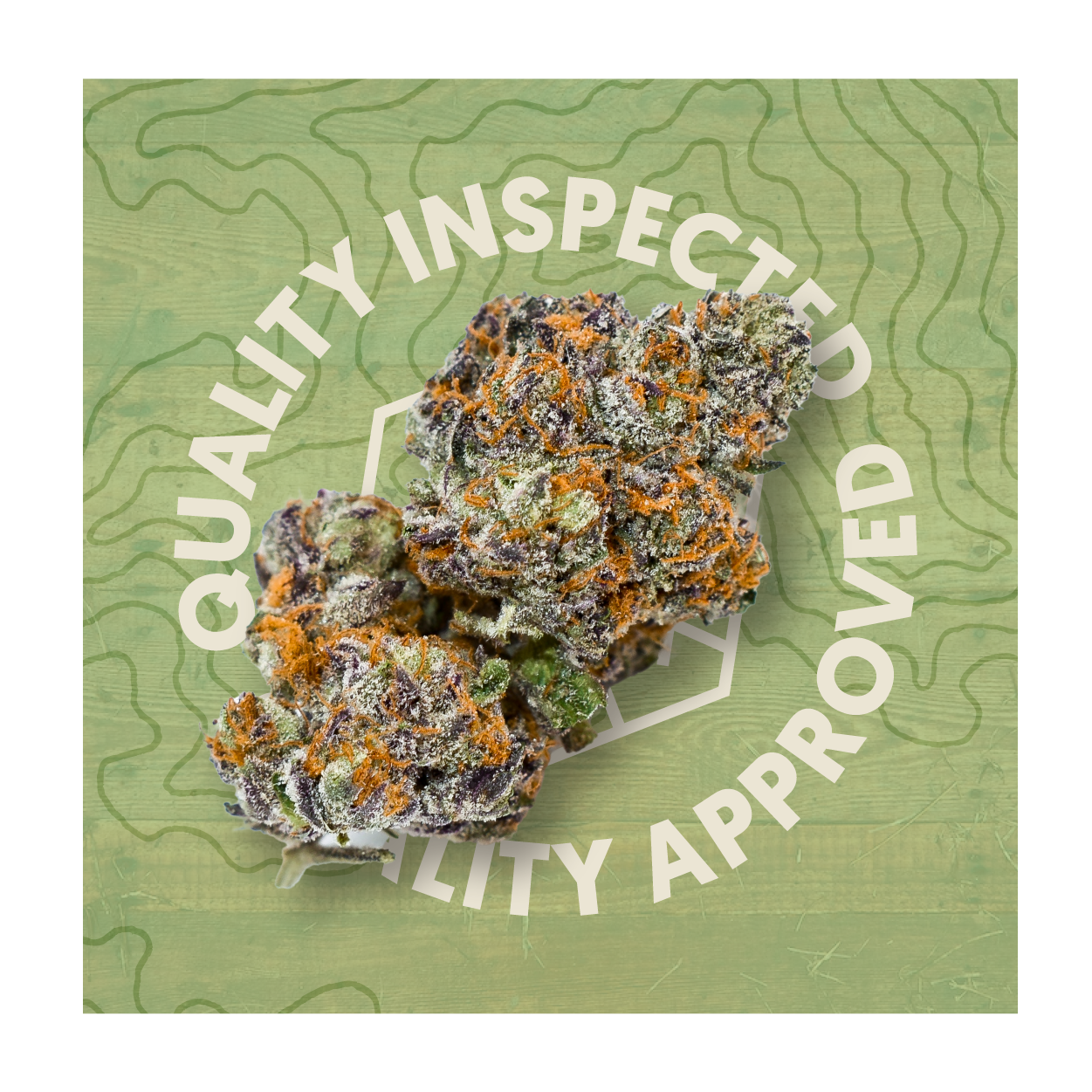 QR Brands - Frosted Truffle Pie 3.5g