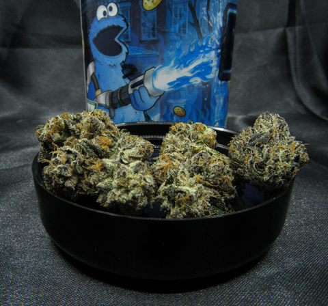 Blue Gun 14g Pre-Packaged Flower Jar | FAVRD | 6★