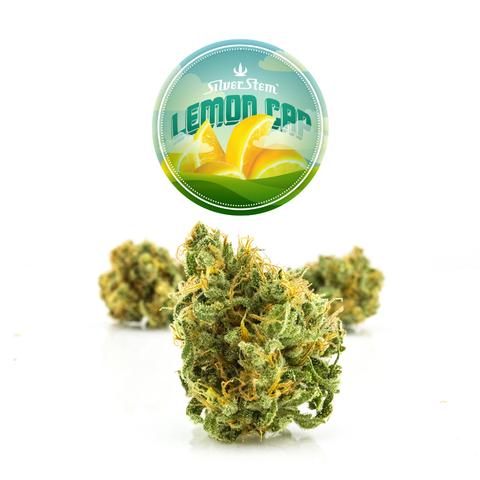 Lemon Cap | Sativa - | Eighth