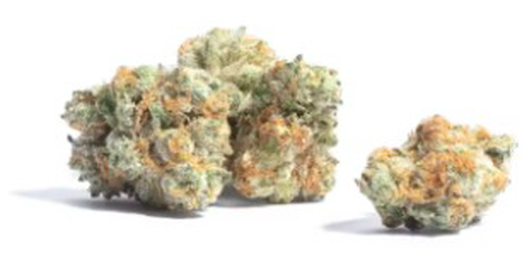 Rockstar OG - Paul's Boutique - Flower