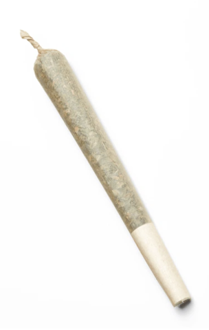 Apple Fritter | Preroll | 1g