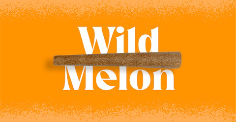 Doinks Infused Blunt | Wild Melon 1g Rec