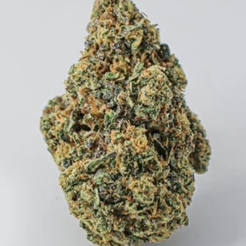 LVJS - SHERBANGER F2 - BULK BRONZE TIER BUD