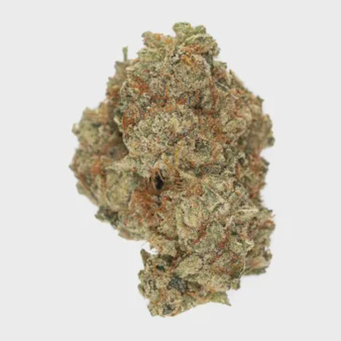 NUTRI - DIAGONAL - BULK GOLD TIER BUD