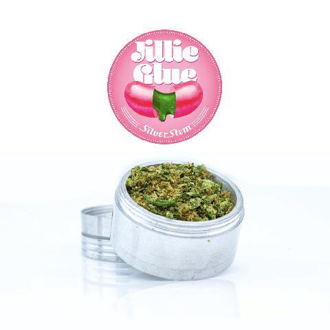 Jilly Glue Grinds | Hybrid - | Bulk