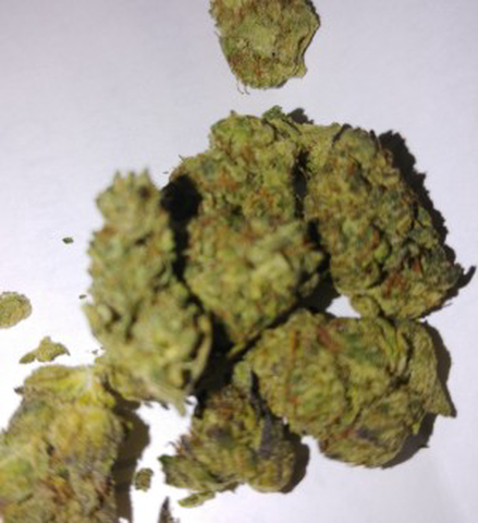 Sour Gelato 14g Trim/Shake