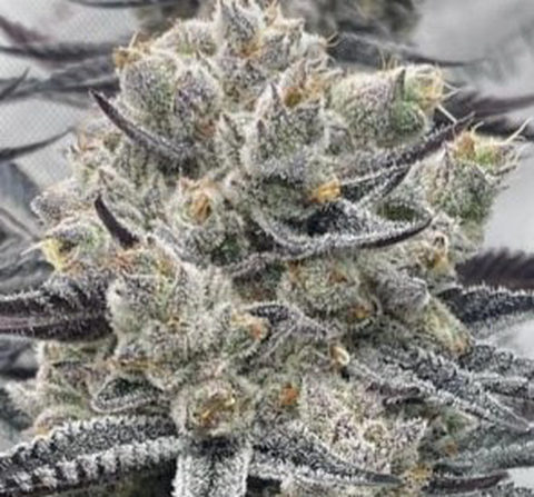 Death Kiss Flower 3.5g