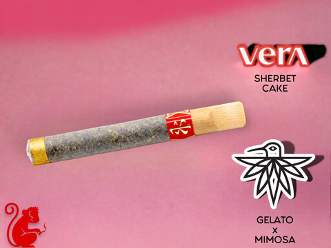 XIAOLIN - 6g RICE CAPO - SHERBET CAKE/GELATO X MIMOSA ARTISANAL CANNAGAR